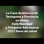 Descubre el encanto navideño de Belén de Tarragona